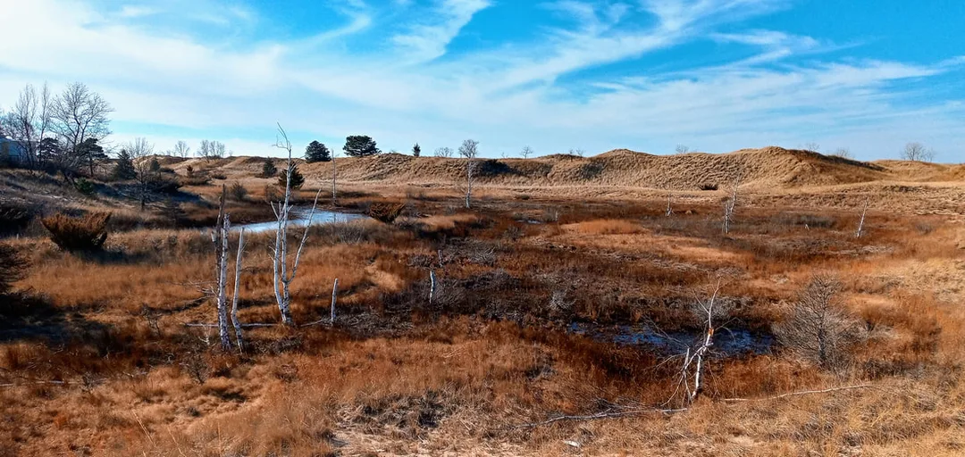 The Dormant Dunes